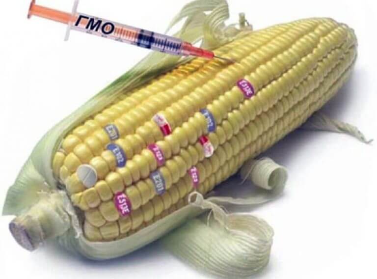10 фактів про шкоду ГМО