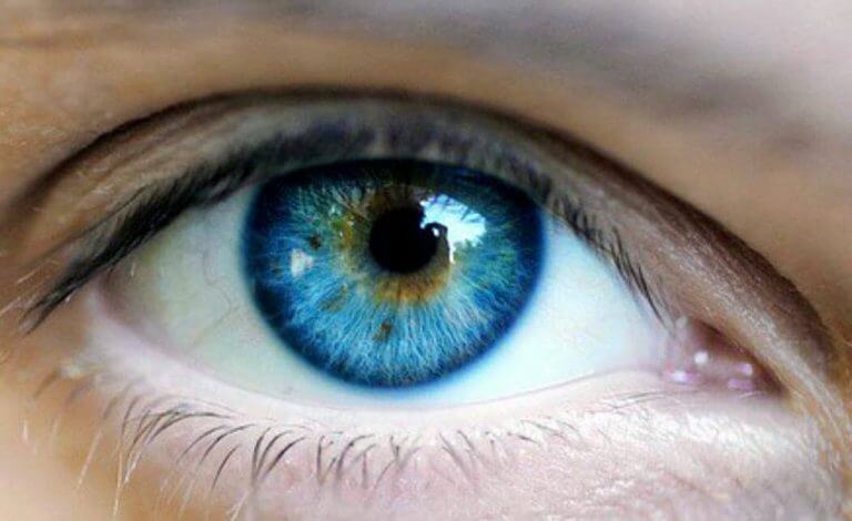 Людське око