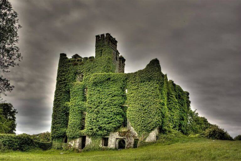 Таинственную комнату скрывали руины шотландского замка