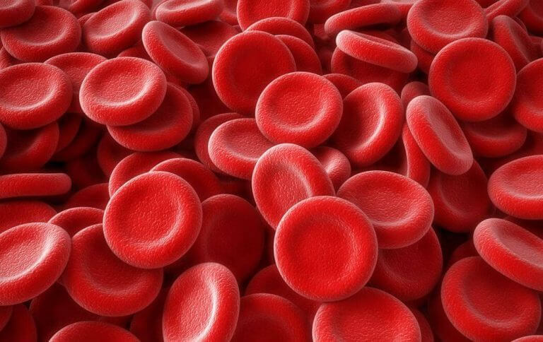 Ученые изобрели универсальную кровь